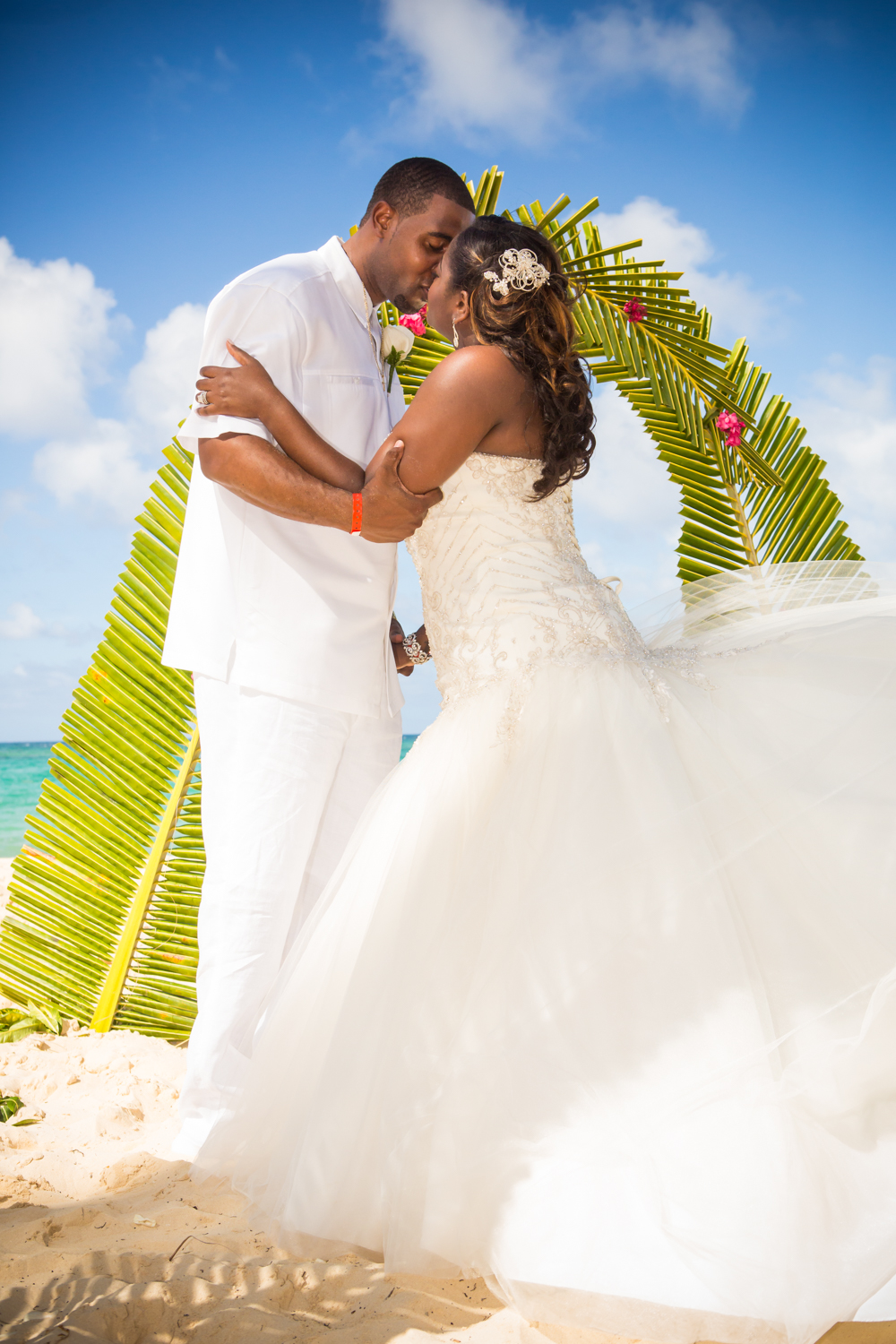 Who Shot It Portfolio