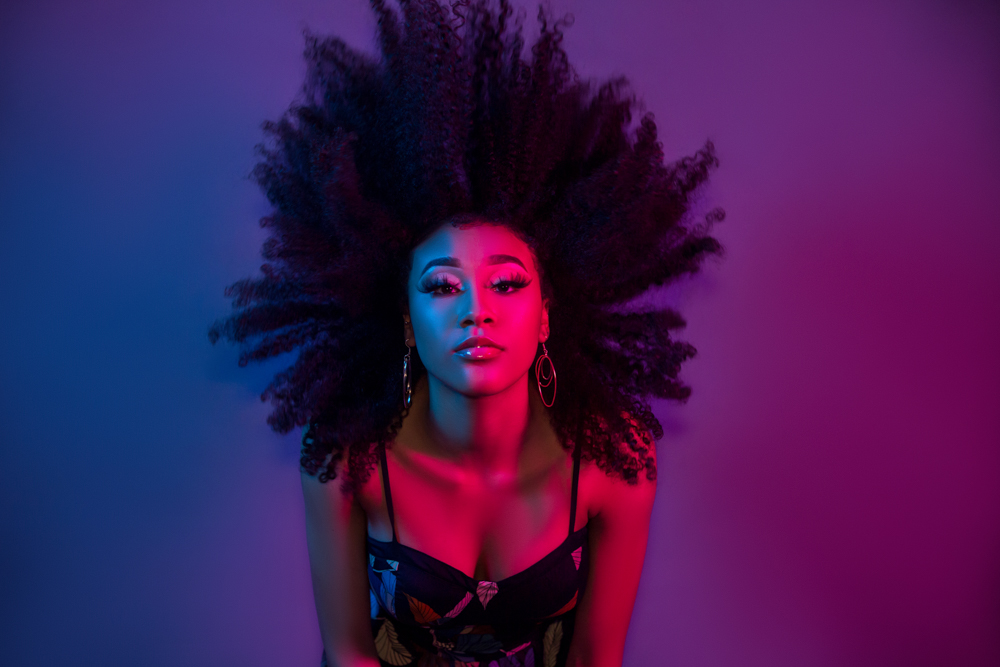 Who Shot It Portfolio