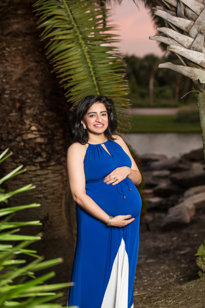 Who Shot It Portfolio