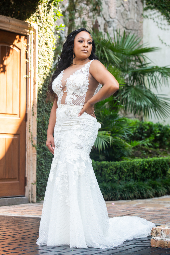 Who Shot It Portfolio